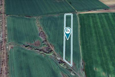 Teren agricol de 1,14 ha in Zimandu Nou - 2