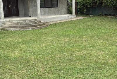 Casa individuala cu teren mare Valea Adanca -Iasi - 5