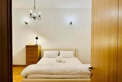 Apartament cu 2 camere semidecomandat, mobilat în Take Ionescu - 2