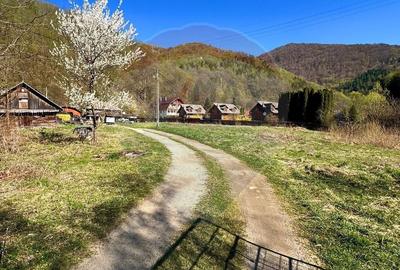 Teren Construcții intravilan de 850 mp, în Tarnița - 4