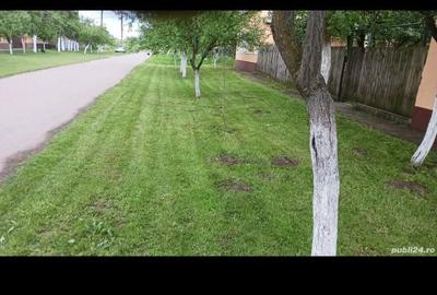 Casă cu 4 camere în Central - 3