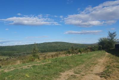 Teren de 550 mp, în Poieni - 2