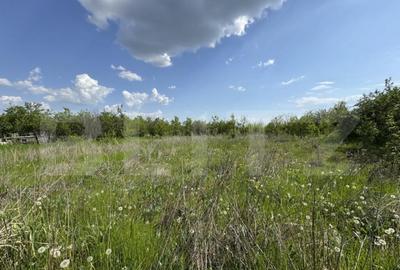 Teren intravilan, 1843 mp, front 32 ml, zona Sarbatoarea - 13