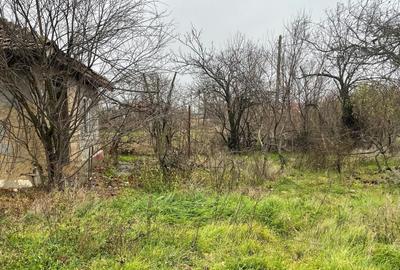 Teren Construcții intravilan de 3367 mp, în Butoiu - 3