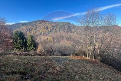 Teren Colinar Panoramic - 17.684 mp in Scheii Brasovului - 15