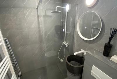 REA1022793 Apartament 2 Camere 2 Bai Herastrau - 11
