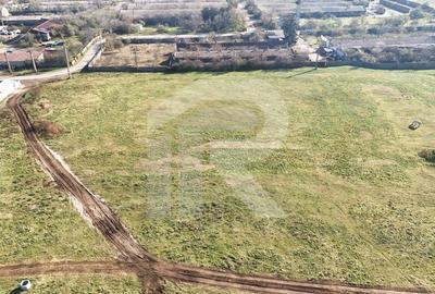 Teren intravilan | 10946 mp | Buda | Proximitate DN 1 si Parc Industrial - 4