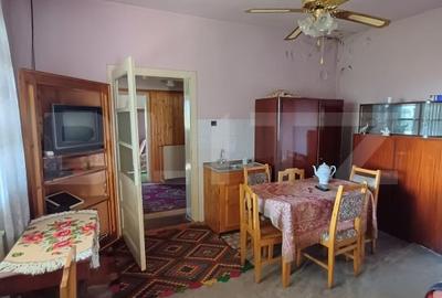 Casa renovabila cu 11508 mp teren, in Copaceni - 7