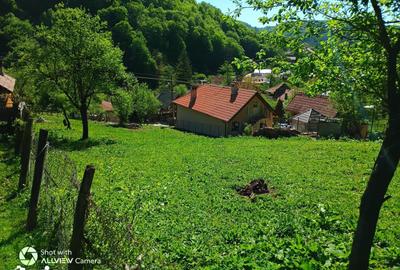 Teren de 1750 mp, în Central - 11