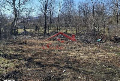 Spațiu comercial, în Cornu - 5