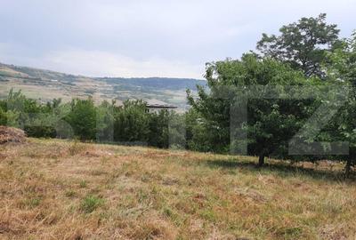 Teren intravilan construibil 2000 mp, Valea Chintaului, curti constructii!