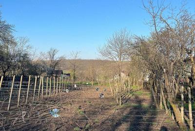 Casă cu Teren 2700 Mp în Iazu Nou - 1
