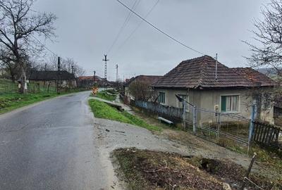 Babța Satu Mare casa si teren de vanzare - 1