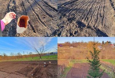 Vand casa la alb. - 2