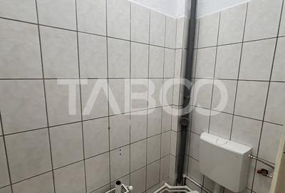 Spațiu comercial, de 250 mp, în Orașul de Jos - 9