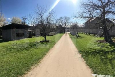 Teren de 5300 mp, în Voinești - 6