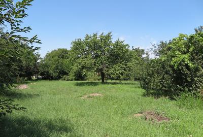 Loc de casa - Covasant - 3