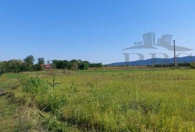 Teren intravilan 2877mp in Rascruci