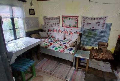 Casă cu 2 camere cu Teren 3342 Mp în Rusca - 7