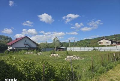 Teren de 1000 mp, în Bujoreni - 4