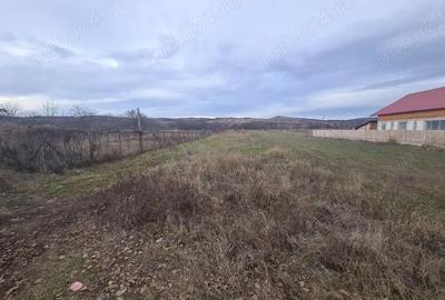 Teren de 2200 mp, în Zorești