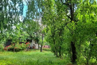 Casă cu 4 camere cu Teren 3200 Mp în Mănăstioara - 5