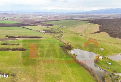 Teren de 20000 mp, în Șura Mică - 4