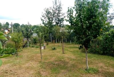 Casă cu 3 camere în Recea - 6