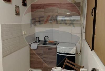 Inchiriere garsoniera-Militari Residence - 7