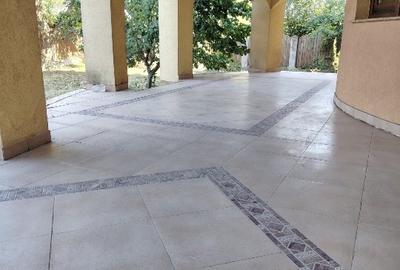 Vilă spațioasă cu teren generos, garaj, zonă ideală, direct proprietar Vilă spațioasă cu teren generos, garaj, zonă ideală, direct proprietar - 5