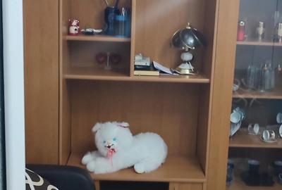 Mioveni judeti arges - 4