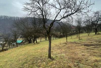 Casă cu 2 camere cu Teren 6000 Mp în Tăuții-Măgherăuș - 7