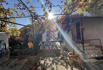 Casa individuala, teren 671mp, 2 fronturi, Complexul Studentesc Casa individuala, teren 671mp, 2 fronturi, Complexul Studentesc - 3