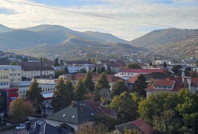 Apartament 2 camere, 2 balcoane + terasa,decomandat, Bv Decebal Apartament 2 camere, 2 balcoane + terasa,decomandat, Bv Decebal - 3