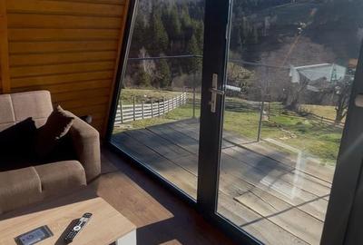 Casă cu 2 camere cu Teren 400 Mp în Dâmbovicioara - 8