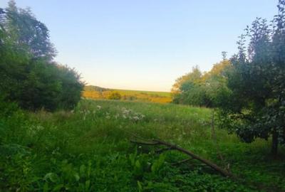 Casa individuala, 3500mp teren, zona Negostina, Siret - 4