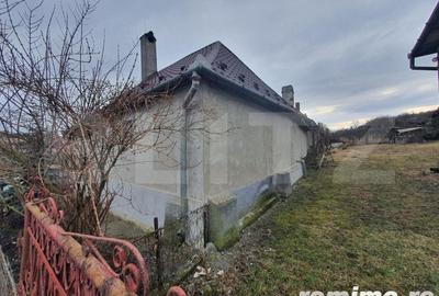 Casă cu 3 camere cu Teren 70000 Mp în Central - 4