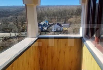 Casă cu 3 camere cu Teren 2000 Mp în Iordăcheanu - 10