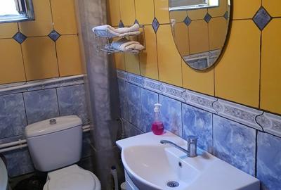 Casă cu 5 camere cu Teren 1700 Mp în Bucium - 7