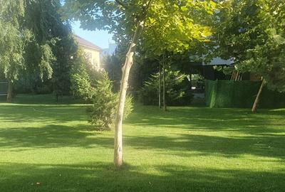 Apartament zona Otopeni (Aeroport) bloc NOU, Mobilata-Utilata MODERN Apartament zona Otopeni (Aeroport) bloc NOU, Mobilata-Utilata MODERN - 23