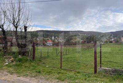 Teren în Șuncuiuș - 3