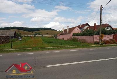 Imobiliare Maxim - teren intravilan - 4
