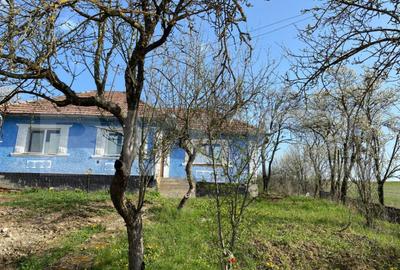 Casa cu 10000mp de teren in Buza, la 50 km de Cluj-Napoca - 11