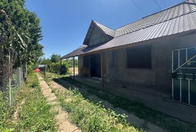 Casa la tara pentru o familie - 10