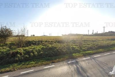 Teren extravilan - Tulcea - comuna Cernea - vanzare - 1