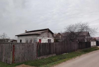 Casă cu Teren 3000 Mp în Mircea Vodă - 8