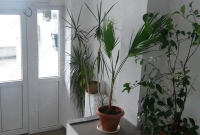 Garsonieră decomandată în Răcădău - 1