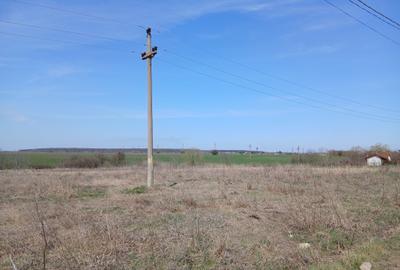 Teren intravilan 16400 mp, Balotesti-Saftica - 50 euro/m2 - 4