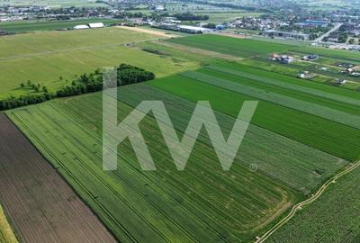 Teren intravilan 34.640 mp Stupini, str. Baciului-Luncii - 9