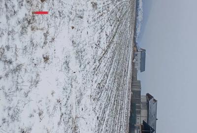 Teren de 5000 mp, în Cărpiniș - 4